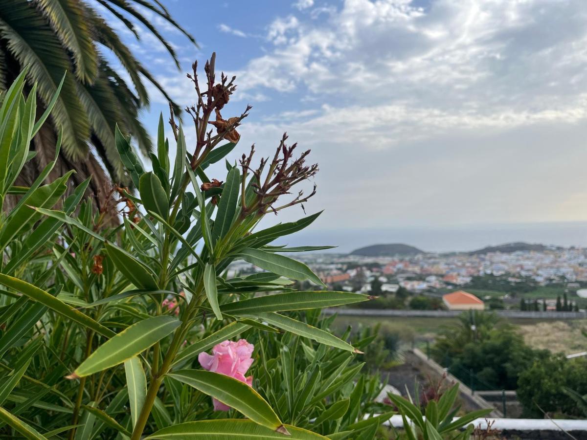Rural Jardines La Quinta Villa เอลปาโซ ภายนอก รูปภาพ